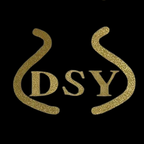DSY supplier logo